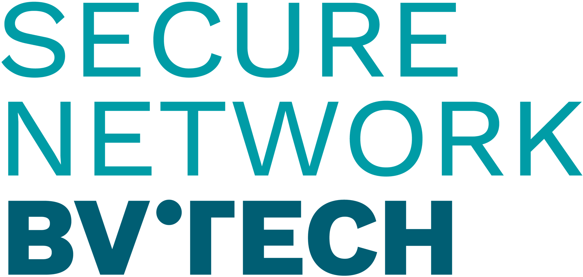 Secure Network logo